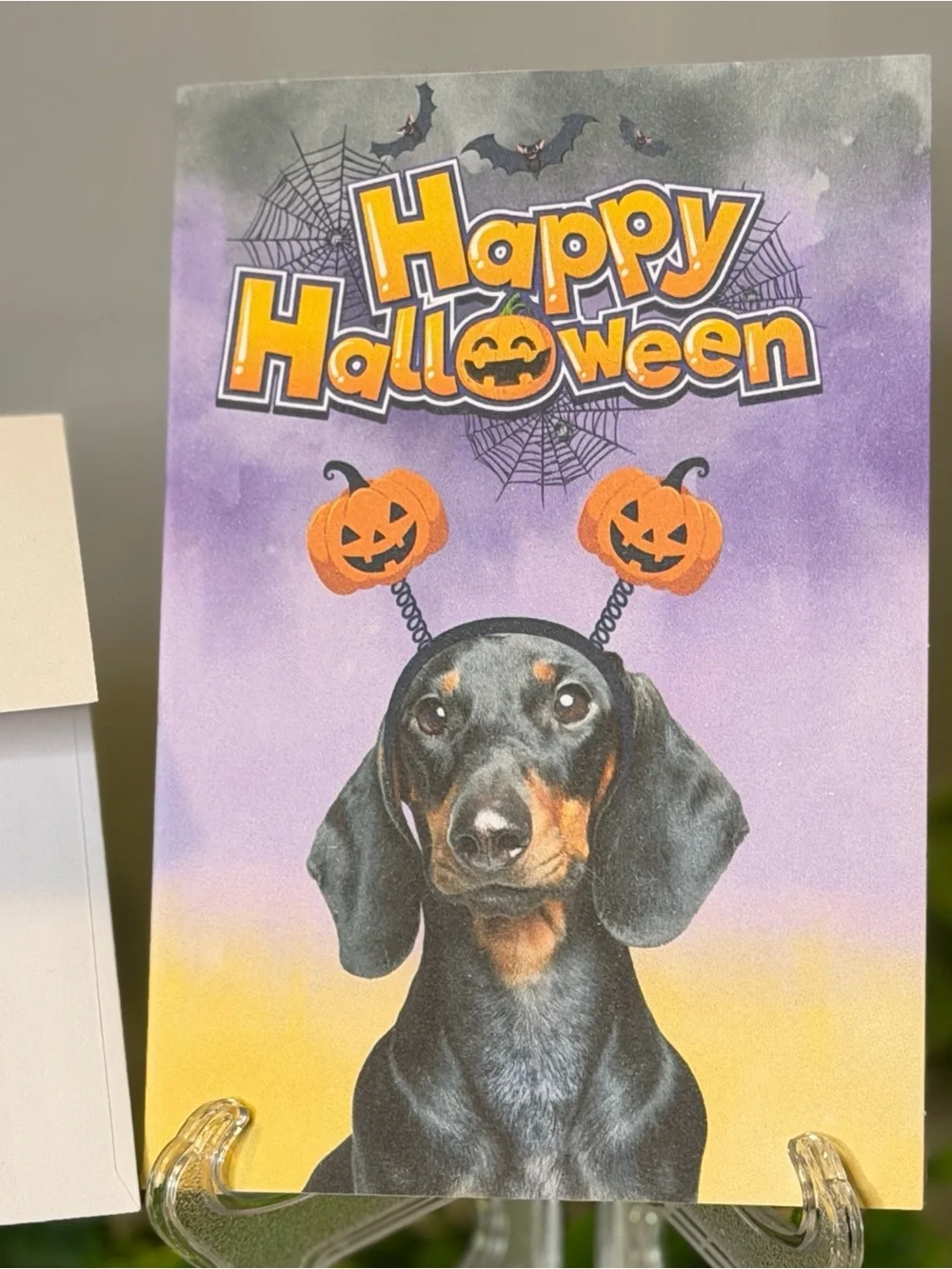 N/A celebrate spooky